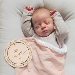 Placas cumple meses en madera de 1 a 12 meses. Personalizado con el nombre del bebé. Baby Milestones. 2