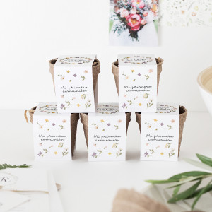 Kit llavors comunió - LILLY 2