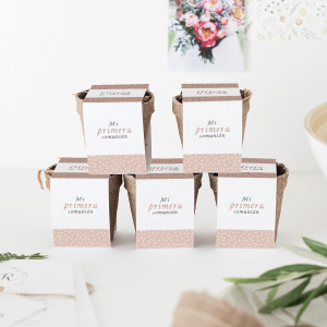 Kit llavors comunió - SERENA 2