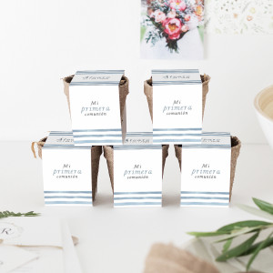 Kit semillas comunión - BRISA 2