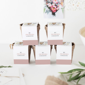 Kit llavors comunió - ELLA 2