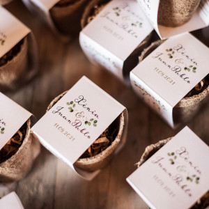 Kit de cultivo salvia boda
