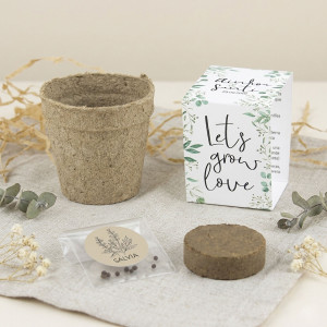 Kit de cultivo salvia boda 2
