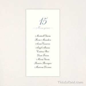 Llista taula casament - "PLUMETTI"| This Is Kool