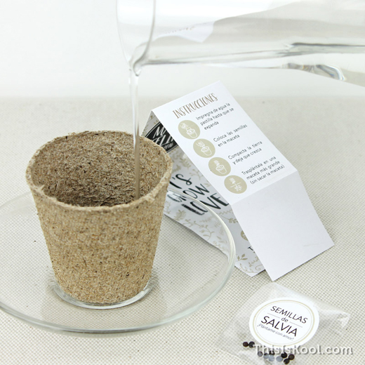 KIT-Seed-Detail-Wedding-Crop-Plant-5