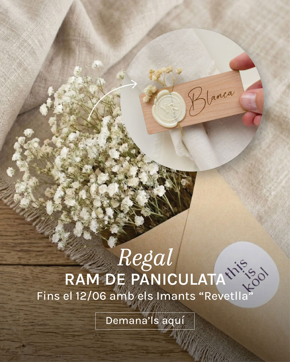 Regal d'un ram de paniculata amb la teva comanda d'imants Revetlla