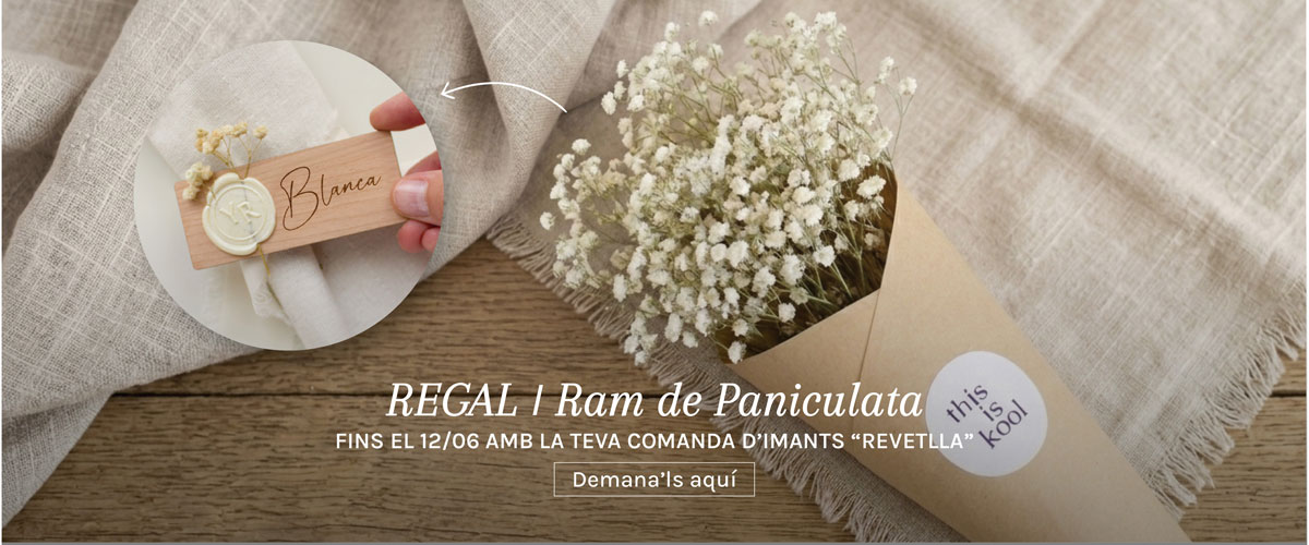 Regal d'un ram de paniculata amb la teva comanda d'imants Revetlla